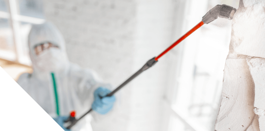 Harbour Hazmat worker cleaning lead from inside home by windows