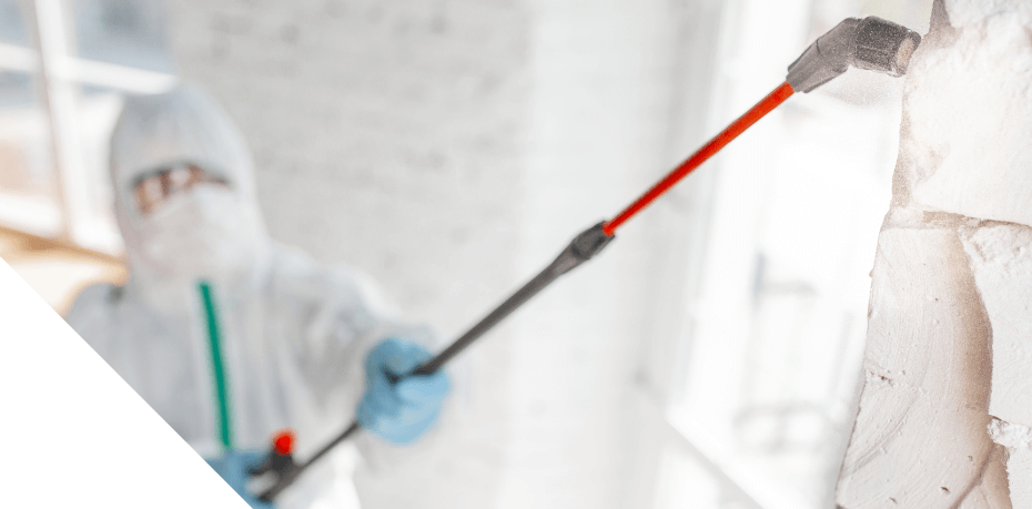 Harbour Hazmat worker cleaning lead from inside home by  windows