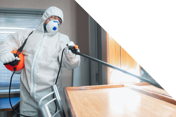 Photo of Harbour Hazmat worker cleaning inside home