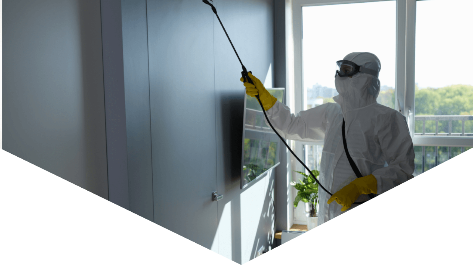 Harbour Hazmat provides mold remediation services, hazmat cleaner use cleaning equipment on house